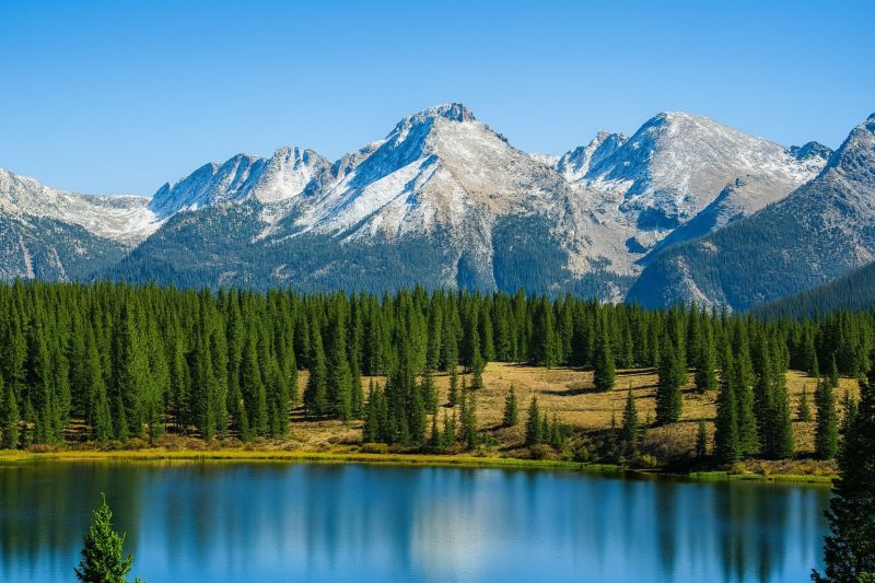 Best Shower Installation pros in Lyons, CO